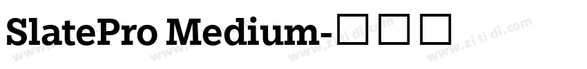 SlatePro Medium字体转换